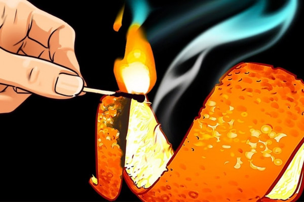 An Easy Trick to Remove Any Odor From Your House