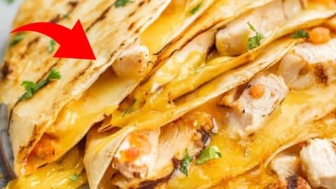 Cheesy Chicken Mexican Quesadilla | DIY Joy Projects and Crafts Ideas