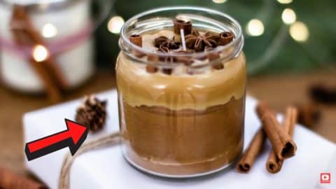 DIY Natural Cinnamon Candle | DIY Joy Projects and Crafts Ideas