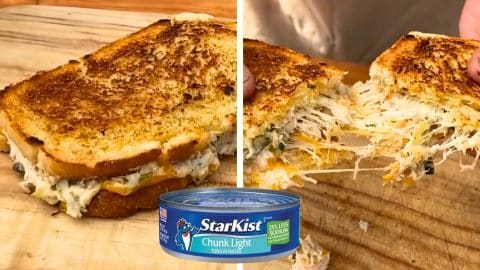 Delicious Classic Cheesy Tuna Melt | DIY Joy Projects and Crafts Ideas