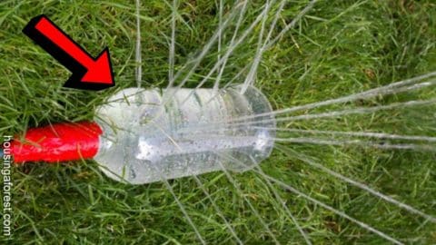 Easy 5-Minute DIY Water Sprinkler Using a Plastic Bottle! | DIY Joy Projects and Crafts Ideas