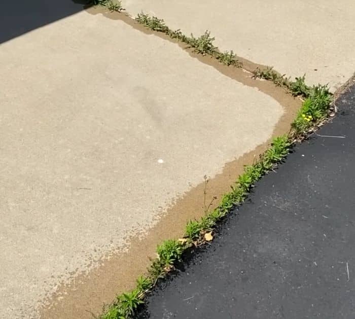 how-to-get-rid-of-weeds-in-your-walkway-cracks-for-good