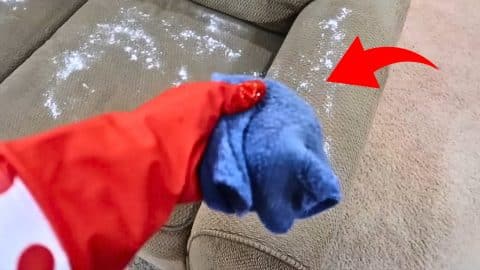 How to Clean a Couch and Remove Odors (Cheap and Easy) | DIY Joy Projects and Crafts Ideas