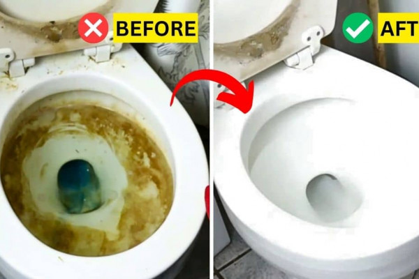 How to Clean a Rusty and Smelly Toilet