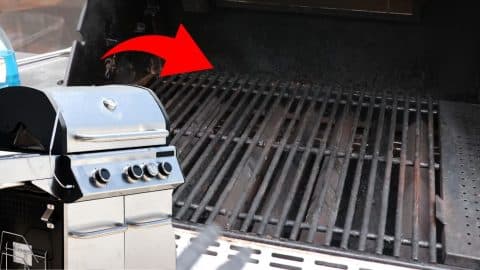 How to Deep Clean Your Gas Grill | DIY Joy Projects and Crafts Ideas
