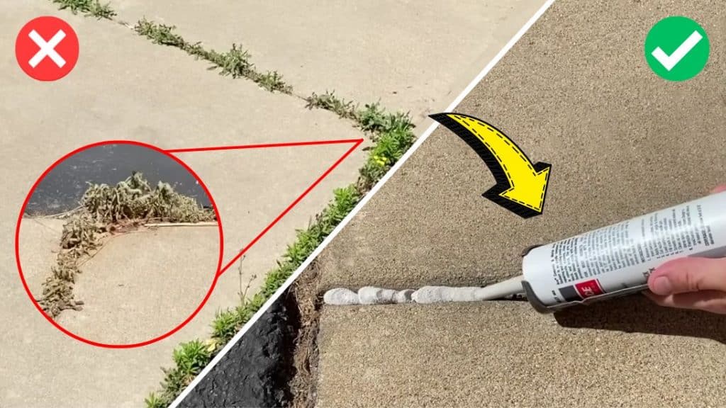 How to Get Rid of Weeds in Your Sidewalk Cracks For Good