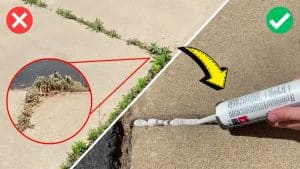 How to Get Rid of Weeds in Your Walkway Cracks For Good