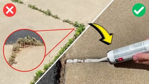 How to Get Rid of Weeds in Your Walkway Cracks For Good | DIY Joy Projects and Crafts Ideas