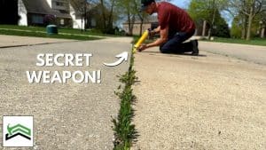 How to Get Weed-Free Driveways and Sidewalks
