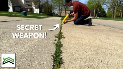 How to Get Weed-Free Driveways and Sidewalks | DIY Joy Projects and Crafts Ideas