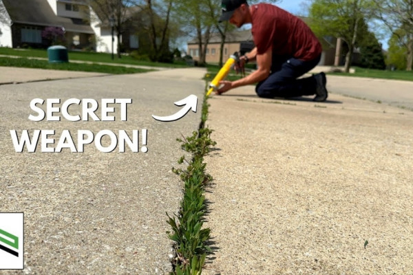 How to Get Weed-Free Driveways and Sidewalks