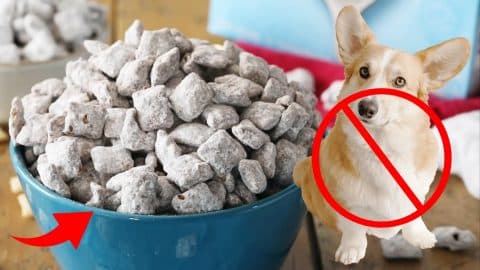 How to Make Classic Puppy Chow | DIY Joy Projects and Crafts Ideas