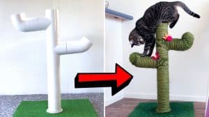 How to Make a DIY Cactus Cat Scratch Post Using PVC Pipes