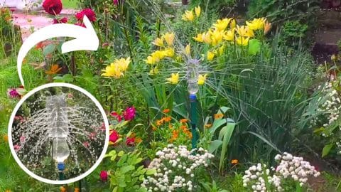 How to Make a DIY Garden Irrigation System With a Plastic Bottle | DIY Joy Projects and Crafts Ideas