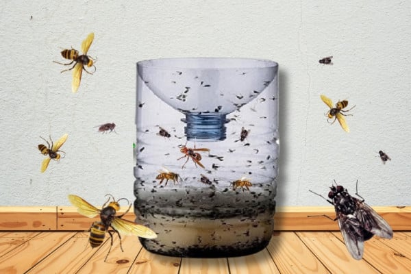 How to Make an Effective Hornet and Fly Trap (1)