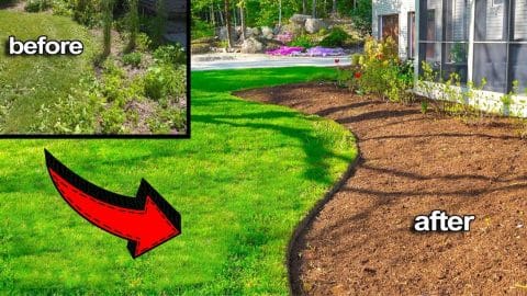 Learn How to Get Clean Edges in Your Lawn the Easy Way | DIY Joy Projects and Crafts Ideas