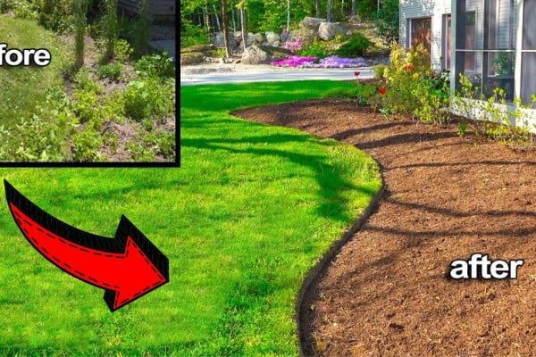 Learn How to Get Clean Edges in Your Lawn the Easy Way