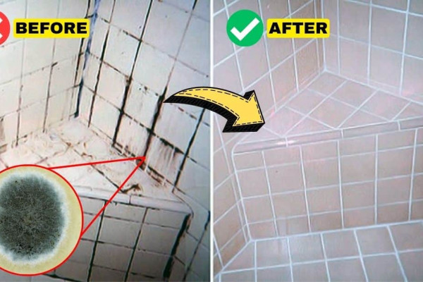Natural Mold Removal Hack