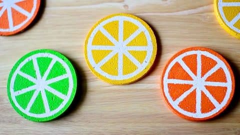 Super Easy DIY Citrus Slice Coaster Set Tutorial | DIY Joy Projects and Crafts Ideas