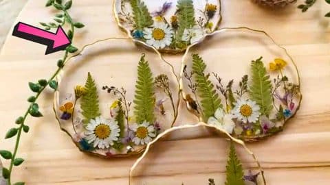 DIY Pressed Flower Coaster Tutorial | DIY Joy Projects and Crafts Ideas
