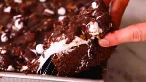 Easy Mississippi Mud Cake Recipe