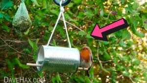 How to Make a Tin Can Bird Feeder