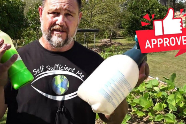 10 Organic Ways to Control Pests in the Garden