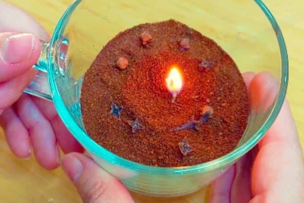 3 Home Tricks to Remove Cockroaches, Mosquitoes, and Flies