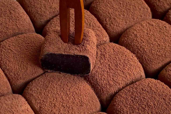 4-Ingredient Chocolate Bites Recipe