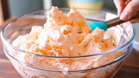 5-Ingredient Orange Fluff Salad Recipe | DIY Joy Projects and Crafts Ideas