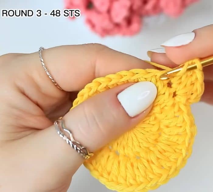 DIY Flower Pot Crochet Coaster Tutorial