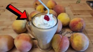 Easy 3-Ingredient Fresh Peach Milkshake Recipe