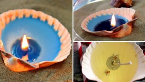 Easy DIY Seashell Candles | Perfect Gift or Giveaway Idea | DIY Joy Projects and Crafts Ideas