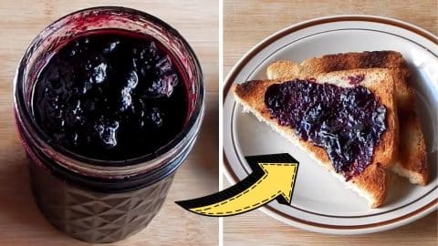 Easy & Delicious 3-Ingredient Blueberry Jam Recipe | DIY Joy Projects and Crafts Ideas
