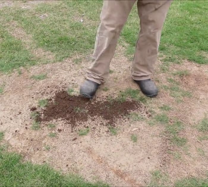 Easy Lawn Bare Spot Repair Tutorial