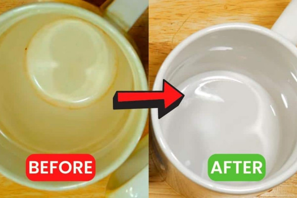 How to Easily Remove Coffee Stains From Mug