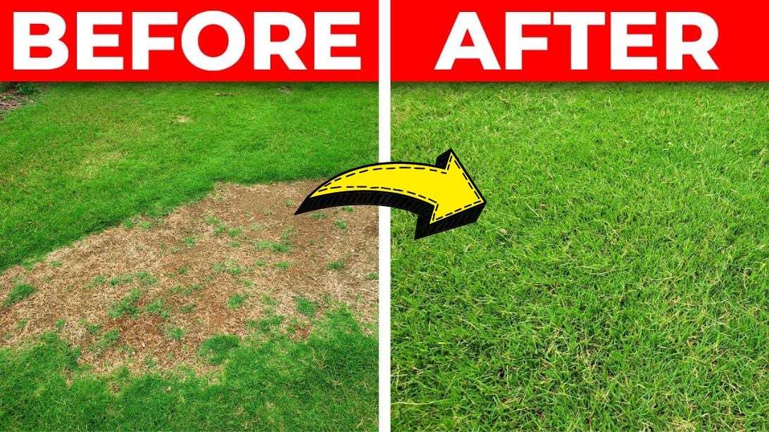 How to Fix a Bare Spot in Your Lawn | DIY Joy Projects and Crafts Ideas