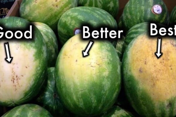 How to Pick the Sweetest Watermelon Every Single Time
