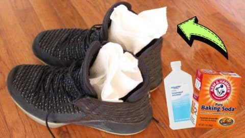 How to Remove Odor Out of Stinky Shoes Overnight | DIY Joy Projects and Crafts Ideas