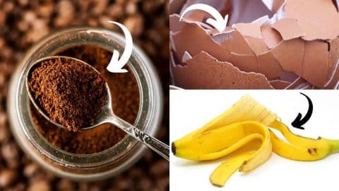 How to Use Eggshells, Banana Peels, and Coffee Grounds in the Garden | DIY Joy Projects and Crafts Ideas