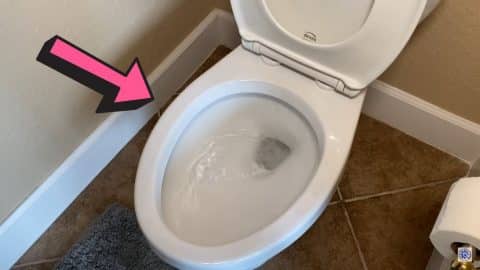Unbelievable Trick to Make Your Toilet Flush Like Never Before | DIY Joy Projects and Crafts Ideas