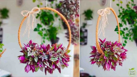 DIY Hanging Ring Plants Tutorial | DIY Joy Projects and Crafts Ideas