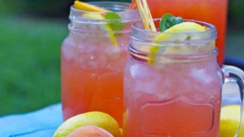 Fresh Peach Lemonade Recipe | DIY Joy Projects and Crafts Ideas