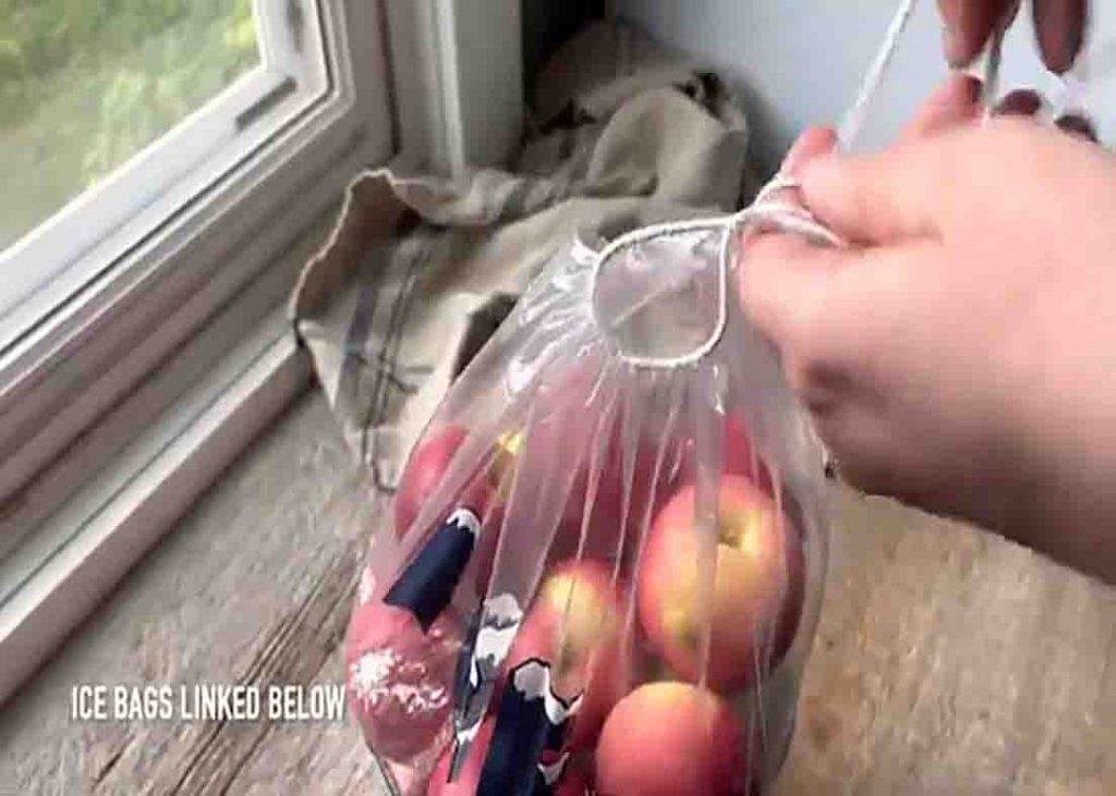 Storing the apples in a heavy duty plastic bag