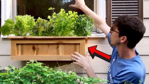 DIY Window Planter Box | DIY Joy Projects and Crafts Ideas