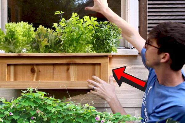 DIY Window Boxes