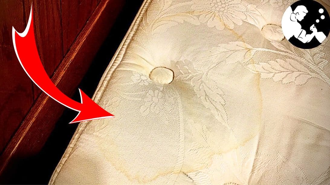 removing pee stains from pillow top mattress