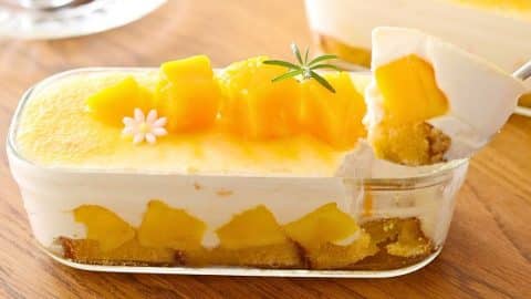 Easy No-Bake 10-Minute Mango Tiramisu Recipe | DIY Joy Projects and Crafts Ideas