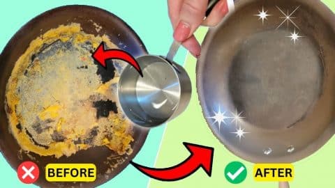 Easy Pan Cleaning Hack to Save You Hours of Scrubbing | DIY Joy Projects and Crafts Ideas
