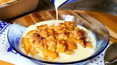 Easy-to-Make Crumbly Peaches and Cream Cobbler | DIY Joy Projects and Crafts Ideas